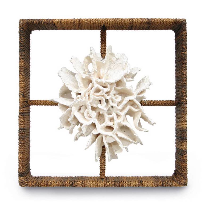 Picture of CAKE CORAL SHADOW BOX