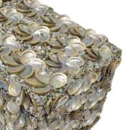 Picture of ABALONE SHELL RECTANGULAR BOX